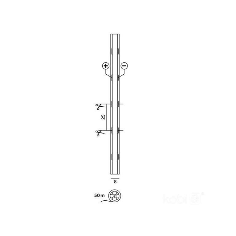 LED pás COB 6500K 24V 50m IP20 TRAMO Kobi