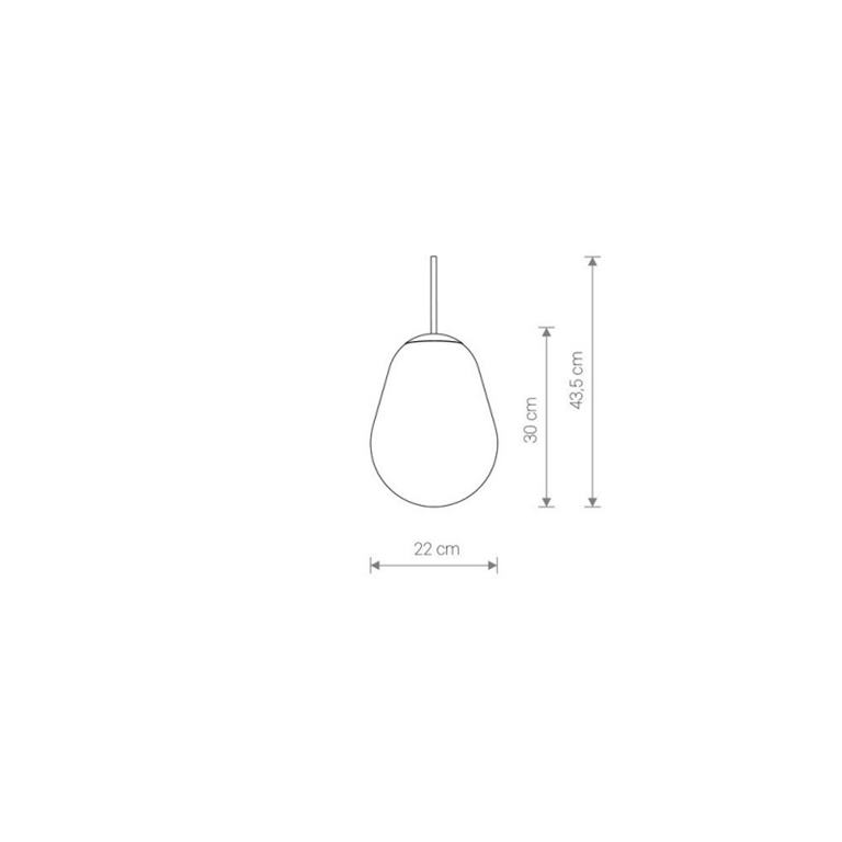 Nowodvorski CAMELEON PEAR S TR/G 8534